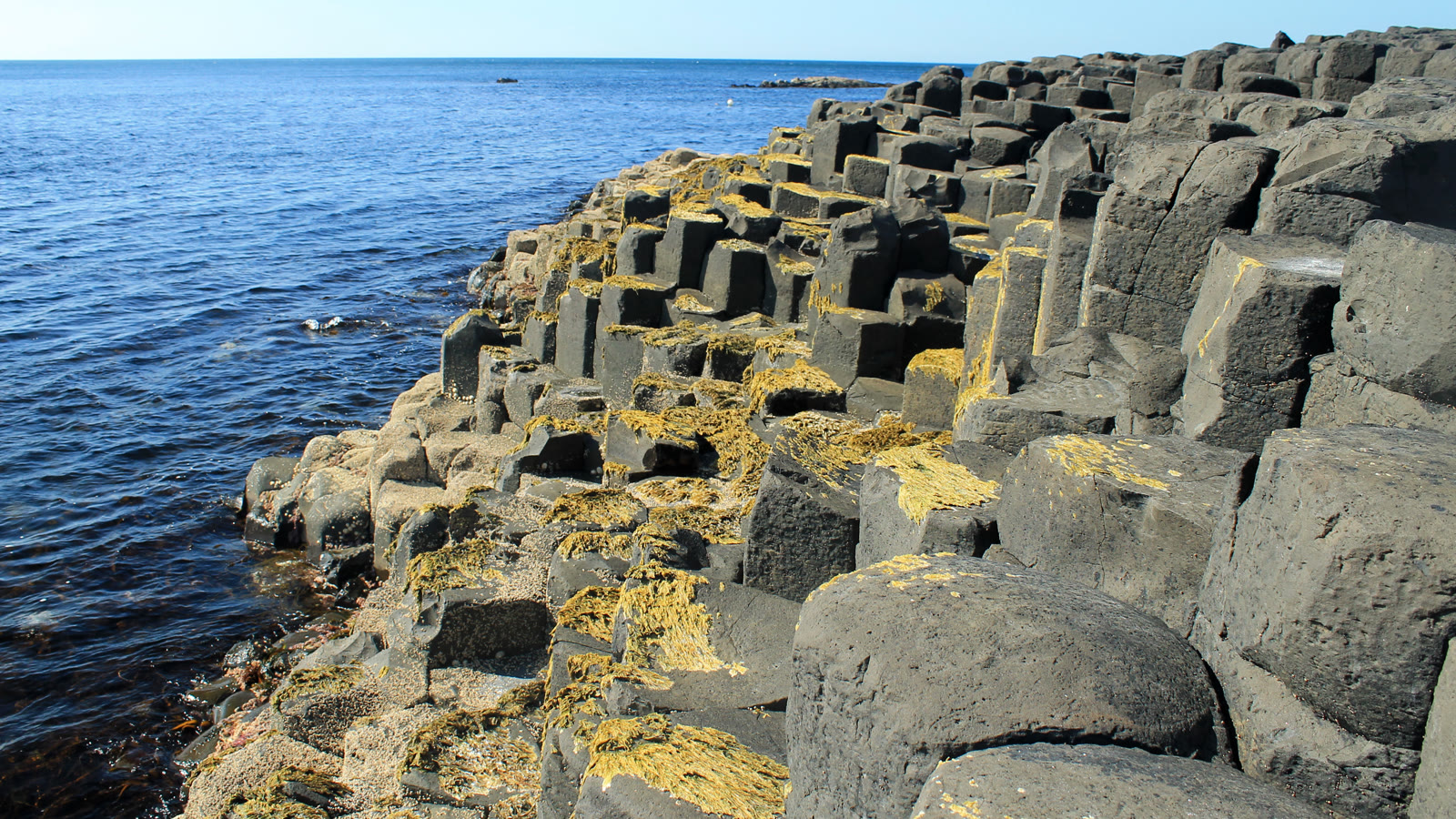 Sekskantede basaltsoejler ved Giants Causeway med havet bagved